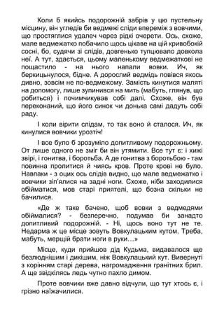 Коли б якийсь подорожній забрів у цю пустельну
місцину, він угледів би ведмежі сліди впереміж з вовчими,
що простяглися удалеч через рідкі очерети. Ось, схоже,
мале ведмежатко побачило щось цікаве на цій кривобокій
сосні, бо, судячи зі слідів, довгенько тупцювало довкола
неї. А тут, здається, цьому маленькому ведмежаткові не
пощастило - на нього напали вовки. Ич, як
беркицьнулося, бідне. А дорослий ведмідь повівся якось
дивно, зовсім не по-ведмежому. Замість кинутися маляті
на допомогу, лише зупинився на мить (мабуть, глянув, що
робиться) і почимчикував собі далі. Схоже, він був
переконаний, що його синок чи донька самі дадуть собі
раду.
І коли вірити слідам, то так воно й сталося. Ич, як
кинулися вовчики урозтіч!
І все було б зрозуміло допитливому подорожньому.
От лише одного не зміг би він утямити. Все тут є: і хижі
звірі, і гонитва, і боротьба. А де гонитва з боротьбою - там
повинна пролитися й чиясь кров. Проте крові не було.
Навпаки - з оцих ось слідів видно, що мале ведмежатко і
вовчики зіп’ялися на задні ноги. Схоже, ніби заходилися
обійматися, мов старі приятелі, що бозна скільки не
бачилися.
«Де ж таке бачено, щоб вовки з ведмедями
обіймалися? - безперечно, подумав би занадто
допитливий подорожній. - Ні, щось воно тут не те.
Недарма ж це місце зовуть Вовкулацьким кутом. Треба,
мабуть, мерщій брати ноги в руки…»
Місце, куди прийшов дід Кудьма, видавалося ще
безлюднішим і дикішим, ніж Вовкулацький кут. Вивернуті
з корінням старі дерева, нагромадження гранітних брил.
А ще звідкілясь ледь чутно пахло димом.
Проте вовчики вже давно відчули, що тут хтось є, і
грізно наїжачилися.
 
