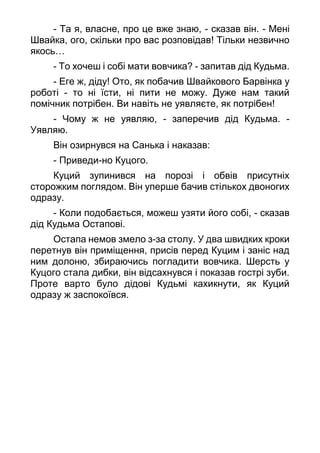 - Та я, власне, про це вже знаю, - сказав він. - Мені
Швайка, ого, скільки про вас розповідав! Тільки незвично
якось…
- То хочеш і собі мати вовчика? - запитав дід Кудьма.
- Еге ж, діду! Ото, як побачив Швайкового Барвінка у
роботі - то ні їсти, ні пити не можу. Дуже нам такий
помічник потрібен. Ви навіть не уявляєте, як потрібен!
- Чому ж не уявляю, - заперечив дід Кудьма. -
Уявляю.
Він озирнувся на Санька і наказав:
- Приведи-но Куцого.
Куций зупинився на порозі і обвів присутніх
сторожким поглядом. Він уперше бачив стількох двоногих
одразу.
- Коли подобається, можеш узяти його собі, - сказав
дід Кудьма Остапові.
Остапа немов змело з-за столу. У два швидких кроки
перетнув він приміщення, присів перед Куцим і заніс над
ним долоню, збираючись погладити вовчика. Шерсть у
Куцого стала дибки, він відсахнувся і показав гострі зуби.
Проте варто було дідові Кудьмі кахикнути, як Куций
одразу ж заспокоївся.
 