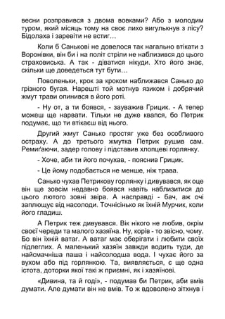 весни розправився з двома вовками? Або з молодим
туром, який місяць тому на своє лихо вигулькнув з лісу?
Бідолаха і заревіти не встиг…
Коли б Санькові не довелося так нагально втікати з
Воронівки, він би і на політ стріли не наблизився до цього
страховиська. А так - діватися нікуди. Хто його знає,
скільки ще доведеться тут бути…
Поволеньки, крок за кроком наближався Санько до
грізного бугая. Нарешті той мотнув язиком і добрячий
жмут трави опинився в його роті.
- Ну от, а ти боявся, - зауважив Грицик. - А тепер
можеш ще нарвати. Тільки не дуже квапся, бо Петрик
подумає, що ти втікаєш від нього.
Другий жмут Санько простяг уже без особливого
остраху. А до третього жмутка Петрик рушив сам.
Ремиґаючи, задер голову і підставив хлопцеві горлянку.
- Хоче, аби ти його почухав, - пояснив Грицик.
- Це йому подобається не менше, ніж трава.
Санько чухав Петрикову горлянку і дивувався, як оце
він ще зовсім недавно боявся навіть наблизитися до
цього лютого зовні звіра. А насправді - бач, аж очі
заплющує від насолоди. Точнісінько як їхній Мурчик, коли
його гладиш.
А Петрик теж дивувався. Вік нікого не любив, окрім
своєї череди та малого хазяїна. Ну, корів - то звісно, чому.
Бо він їхній ватаг. А ватаг має оберігати і любити своїх
підлеглих. А маленький хазяїн завжди водить туди, де
найсмачніша паша і найсолодша вода. І чухає його за
вухом або під горлянкою. Та, виявляється, є ще одна
істота, доторки якої такі ж приємні, як і хазяїнові.
«Дивина, та й годі», - подумав би Петрик, аби вмів
думати. Але думати він не вмів. То ж вдоволено зітхнув і
 