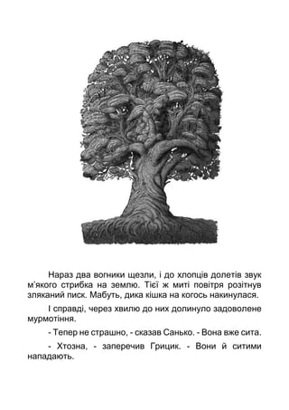 Нараз два вогники щезли, і до хлопців долетів звук
м’якого стрибка на землю. Тієї ж миті повітря розітнув
зляканий писк. Мабуть, дика кішка на когось накинулася.
І справді, через хвилю до них долинуло задоволене
мурмотіння.
- Тепер не страшно, - сказав Санько. - Вона вже сита.
- Хтозна, - заперечив Грицик. - Вони й ситими
нападають.
 