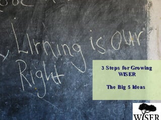 3 Steps for Growing WISER The Big 5 Ideas  