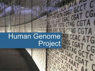 Human Genome
Project
http://www.flickr.com/photos/12745914@N00/17200471/
 
