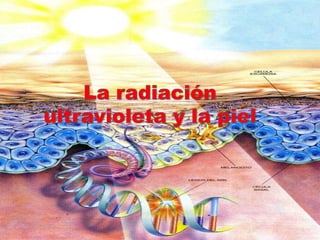 La radiación ultravioleta y la piel 