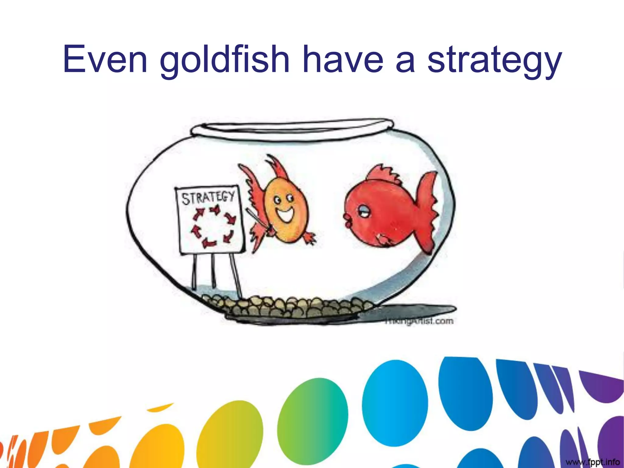 Even goldfish have a strategy
 