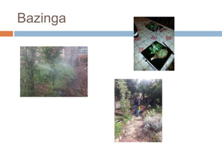 Bazinga

 