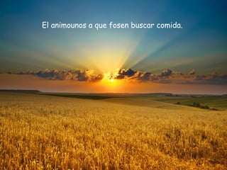 El animounos a que fosen buscar comida.
 