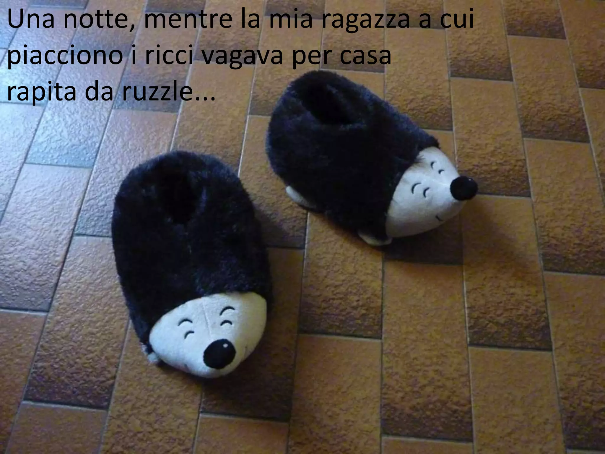 Una notte, mentre la mia ragazza a cui
piacciono i ricci vagava per casa
rapita da ruzzle...
 