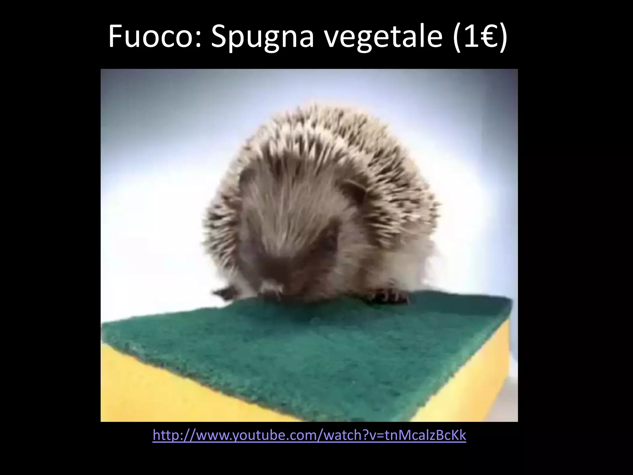 Fuoco: Spugna vegetale (1€)




   http://www.youtube.com/watch?v=tnMcalzBcKk
 
