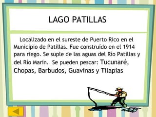 LAGO PATILLAS Localizado en el sureste de Puerto Rico en el  Municipio de Patillas. Fue construído en el 1914  para riego. Se suple de las aguas del Río Patillas y  del Río Marín.  Se pueden pescar:  Tucunaré, Chopas, Barbudos, Guavinas y Tilapias 