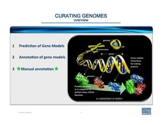 CURATING GENOMES 
overview
1  PredicEon	
  of	
  Gene	
  Models	
  
	
  
	
  
2  AnnotaEon	
  of	
  gene	
  models	
  
	
 ...