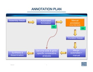 3
ANNOTATION PLAN
Introduction
Assembly freeze Automated
Annotation
Manual
annotation
Using Web Apollo
Curation freeze
Mer...