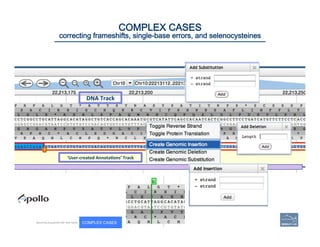DNA	
  Track	
  
‘User-­‐created	
  AnnotaEons’	
  Track	
  
53	
COMPLEX CASES
correcting frameshifts, single-base errors,...