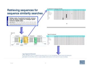 Retrieving sequences for  
sequence similarity searches.
Example 64
>vgsc-­‐Segment3-­‐DomainII	
  
RVFKLAKSWPTLNLLISIMGKT...