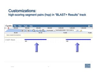 Customizations:  
high-scoring segment pairs (hsp) in “BLAST+ Results” track
Example 67
 