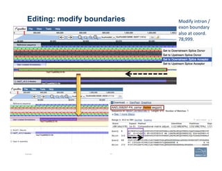 Editing: modify boundaries
Example 77
Modify	
  intron	
  /	
  
exon	
  boundary	
  
also	
  at	
  coord.	
  
78,999.	
  
 