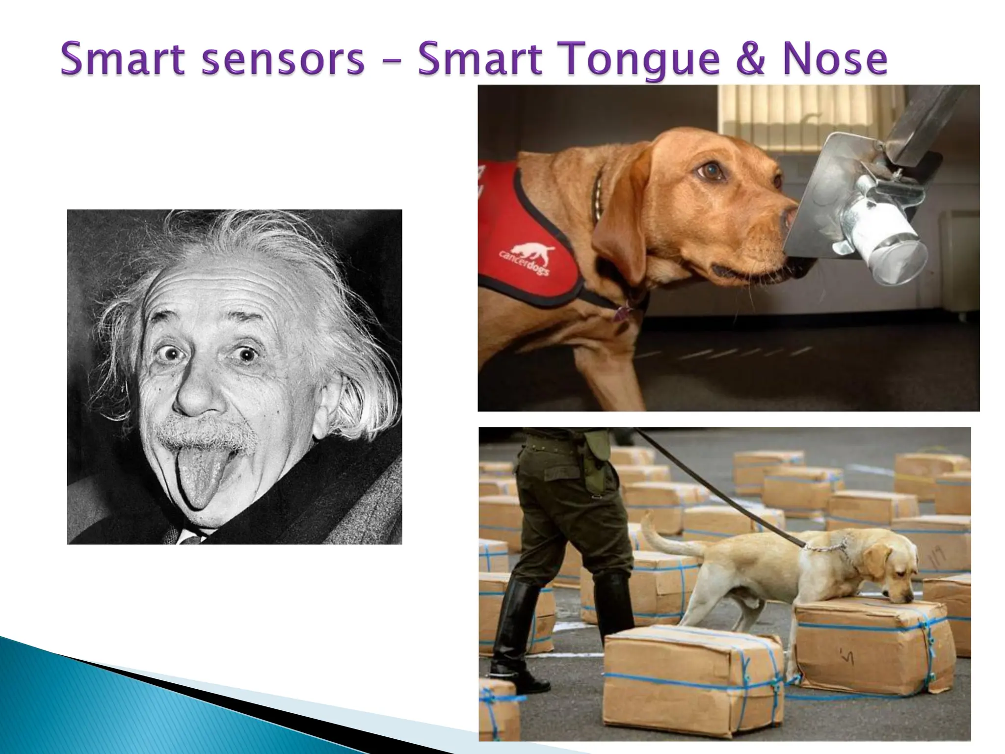 RV4-Smart-Materials presentation introduction