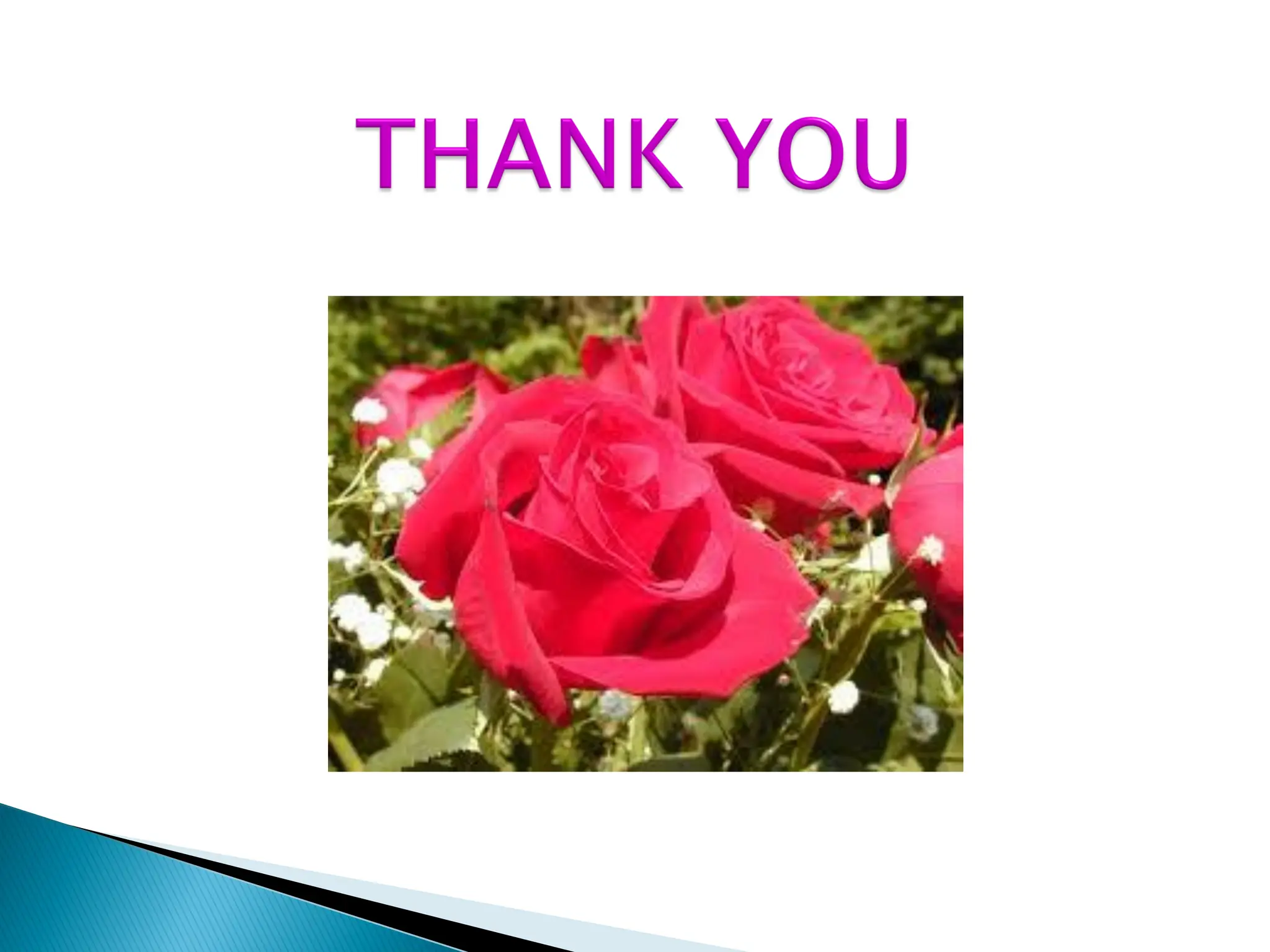 RV4-Smart-Materials presentation introduction