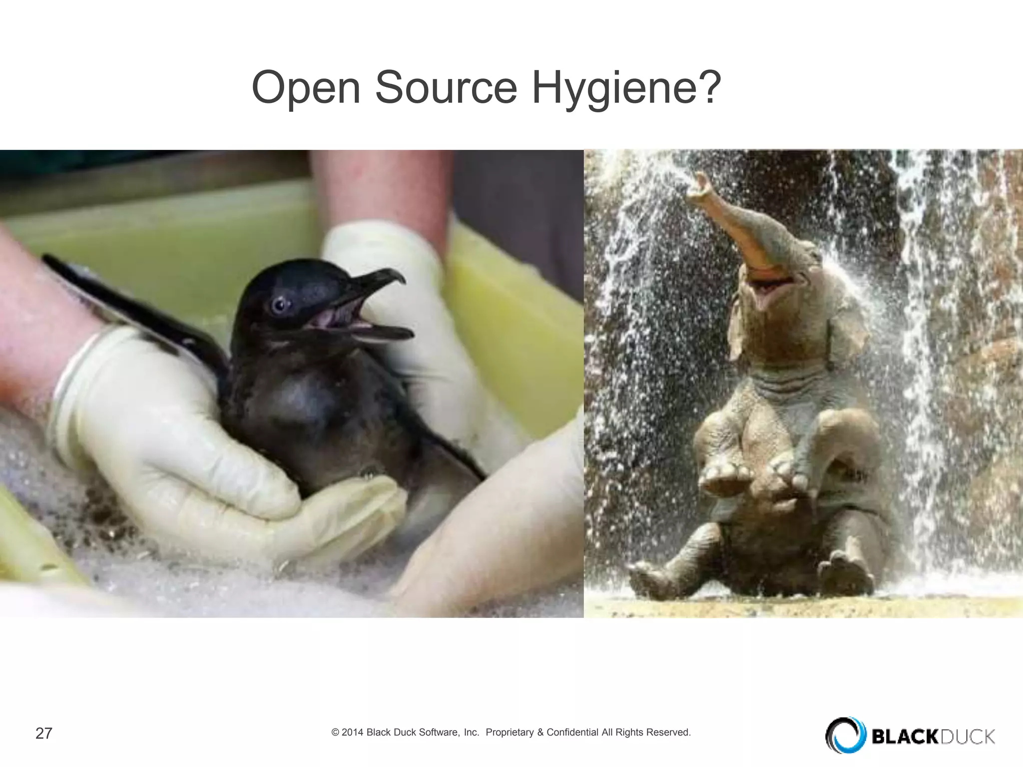 27 © 2014 Black Duck Software, Inc. Proprietary & Confidential All Rights Reserved.
Open Source Hygiene?
 