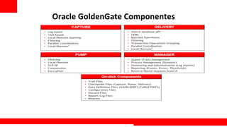 Oracle	
  GoldenGate	
  Componentes	
  




                                          Extreme Training Program
 