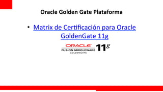 Oracle	
  Golden	
  Gate	
  Plataforma	
  

•  Matrix	
  de	
  Cer+ﬁcación	
  para	
  Oracle	
  
               GoldenGate	
  11g	
  




                                                   Extreme Training Program
 