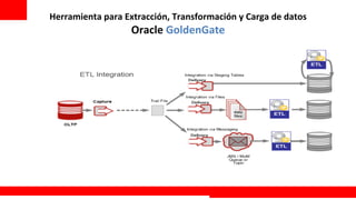  
Herramienta	
  para	
  Extracción,	
  Transformación	
  y	
  Carga	
  de	
  datos
                          Oracle	
  GoldenGate	
  




                                                                           Extreme Training Program
 