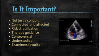 Is It Important?
• Not just a conduit
• Connected and affected
• Risk stratification
• Therapy guidance
• Controversial
• Understudied
• Examiners favorite
 