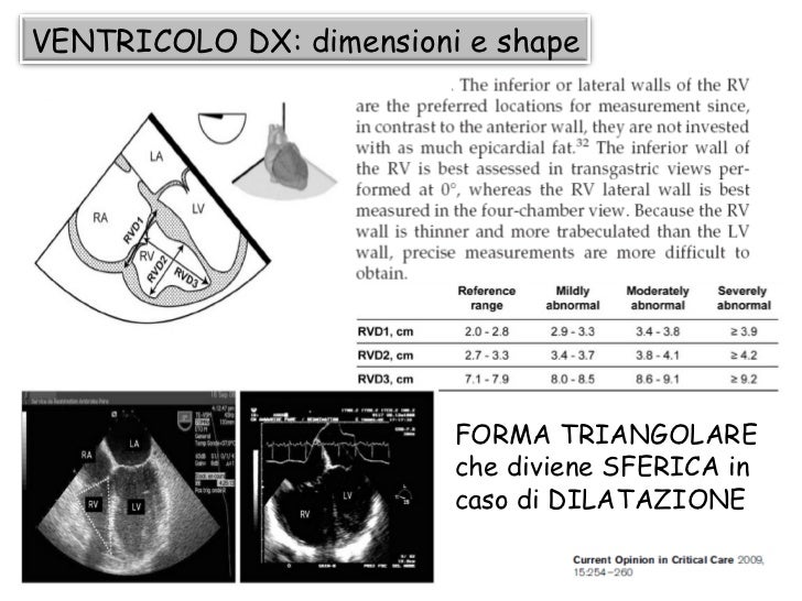 VALUTAZIONE ECOCARDIOGRAFICA del VENTRICOLO DESTRO 1 right ventricl…