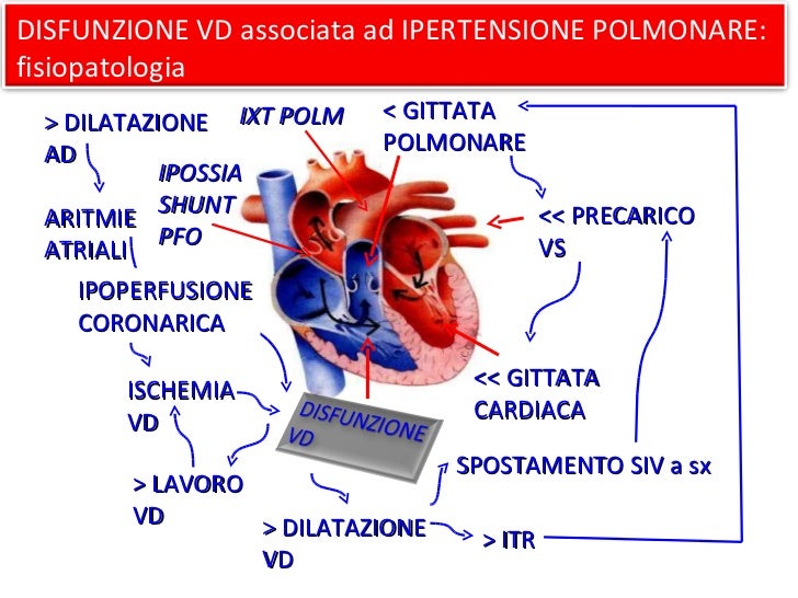 Cos è La Gittata Cardiaca