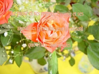 Le passé et ses regrets, l'avenir et ses angoisses n'envahissent le présent que s'ils y sont invités 