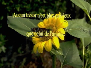 Aucun trésor n'est plus précieux que celui de l'amitié. 