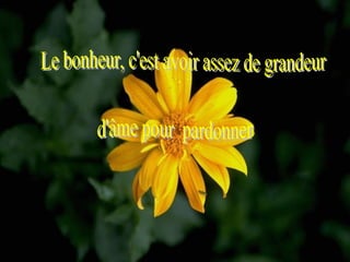 Le bonheur, c'est avoir assez de grandeur d'âme pour  pardonner 