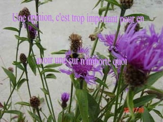 Une opinion, c'est trop important pour en avoir une sur n'importe quoi 