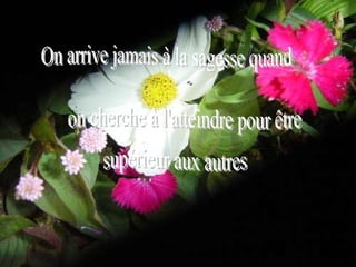 On arrive jamais à la sagesse quand on cherche à l'atteindre pour être  supérieur aux autres 