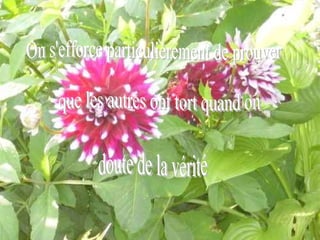 On s'efforce particulièrement de prouver que les autres ont tort quand on  doute de la vérité 