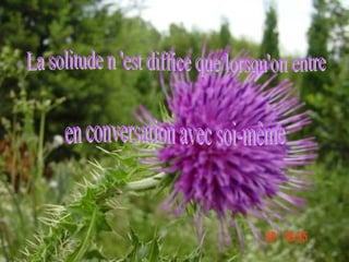 La solitude n 'est diffice que lorsqu'on entre en conversation avec soi-même 