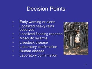 Decision support framework for managing Rift Valley fever in the Horn of Africa