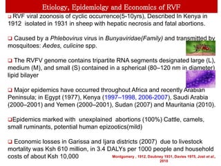 Perspectives of predictive epidemiology and early warning systems for Rift Valley fever in Garissa, Kenya