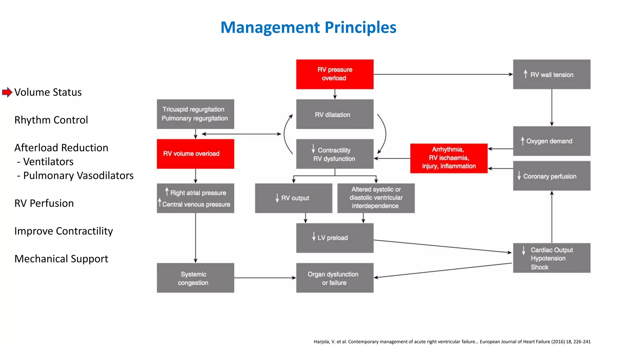 Right Ventricular Failure Pptx