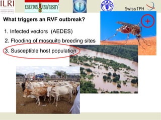 Rift Valley fever in Kenyan pastoral livestock: Individual-based demographic model to analyse the impact of Rift Valley fever