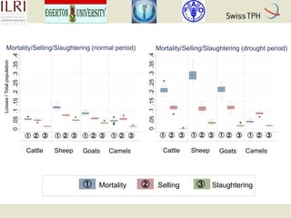 Rift Valley fever in Kenyan pastoral livestock: Individual-based demographic model to analyse the impact of Rift Valley fever