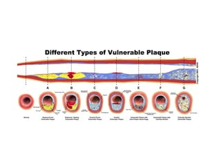 Vp paper 7 pics (aeha logo)