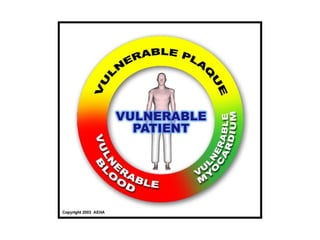 Vp paper 7 pics (aeha logo)