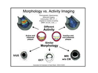 Vp paper 7 pics (aeha logo)