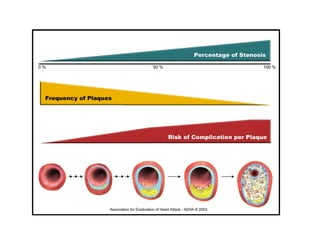 Vp paper 7 pics (aeha logo)