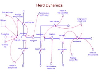 Application of system dynamics in the analysis of economic impacts of Rift Valley fever in Kenya