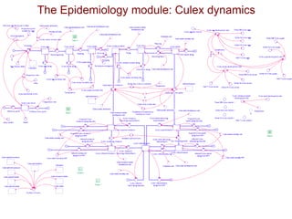 Application of system dynamics in the analysis of economic impacts of Rift Valley fever in Kenya