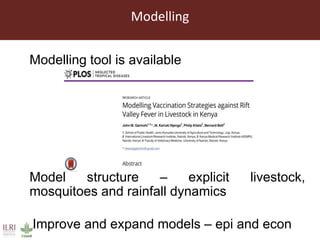 Towards the development of optimal vaccination strategies for Rift Valley fever in East Africa