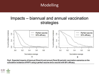 Towards the development of optimal vaccination strategies for Rift Valley fever in East Africa