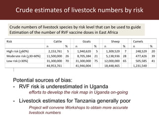 Towards the development of optimal vaccination strategies for Rift Valley fever in East Africa