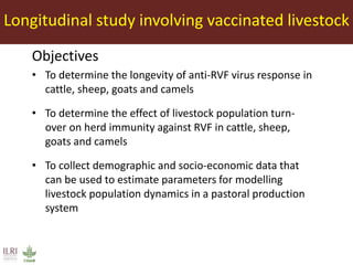 Towards the development of optimal vaccination strategies for Rift Valley fever in East Africa